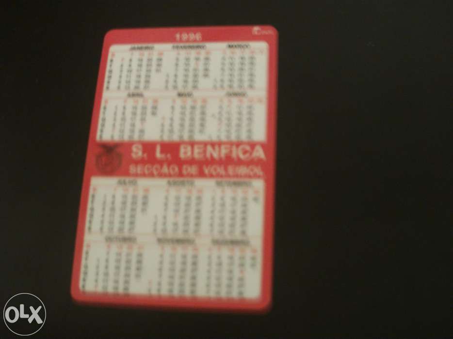 Calendário equipa do S.L.B.. campeões europeus de 1961/62