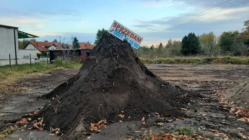 Ziemia Siana czysta czarnoziem pod założenie trawnika,wyrównanie I.T.P
