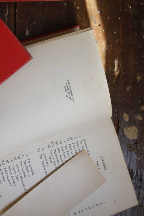 Livros de Dostoievski em inglés