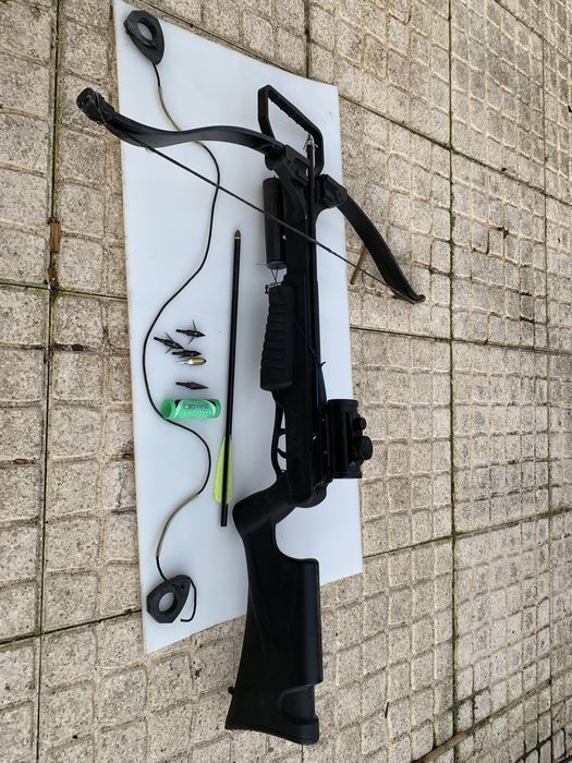 Besta para caça, pesca ou desporto