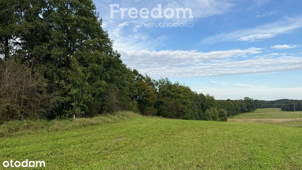 Działki budowlane Wronka k. Giżycka