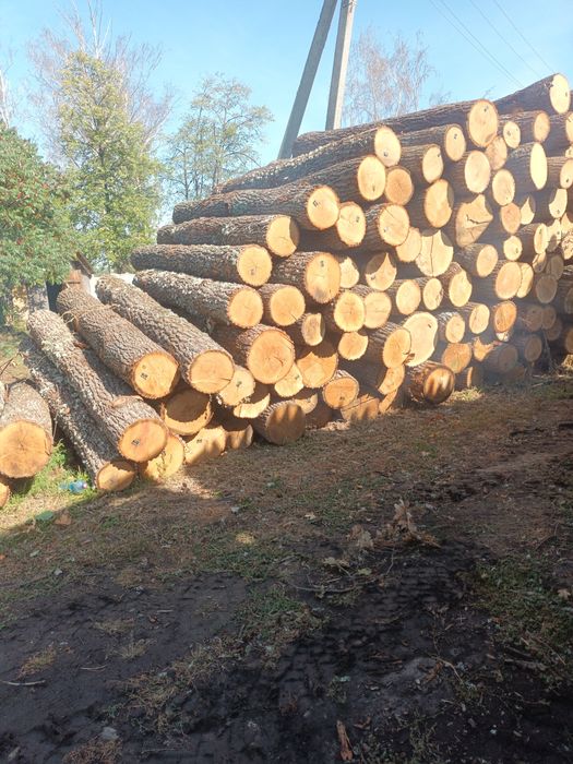 Дуб кругляк .  Доска дубова 30мм. L-3.10