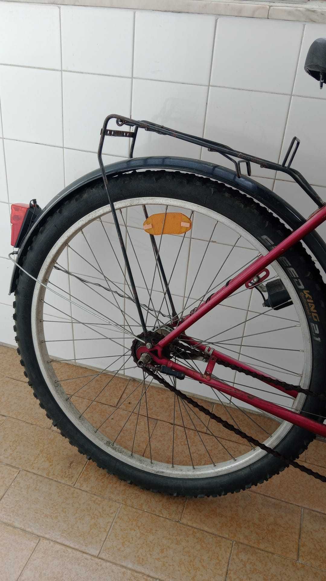 Bicicleta Alemã Aro 26 - Fischer