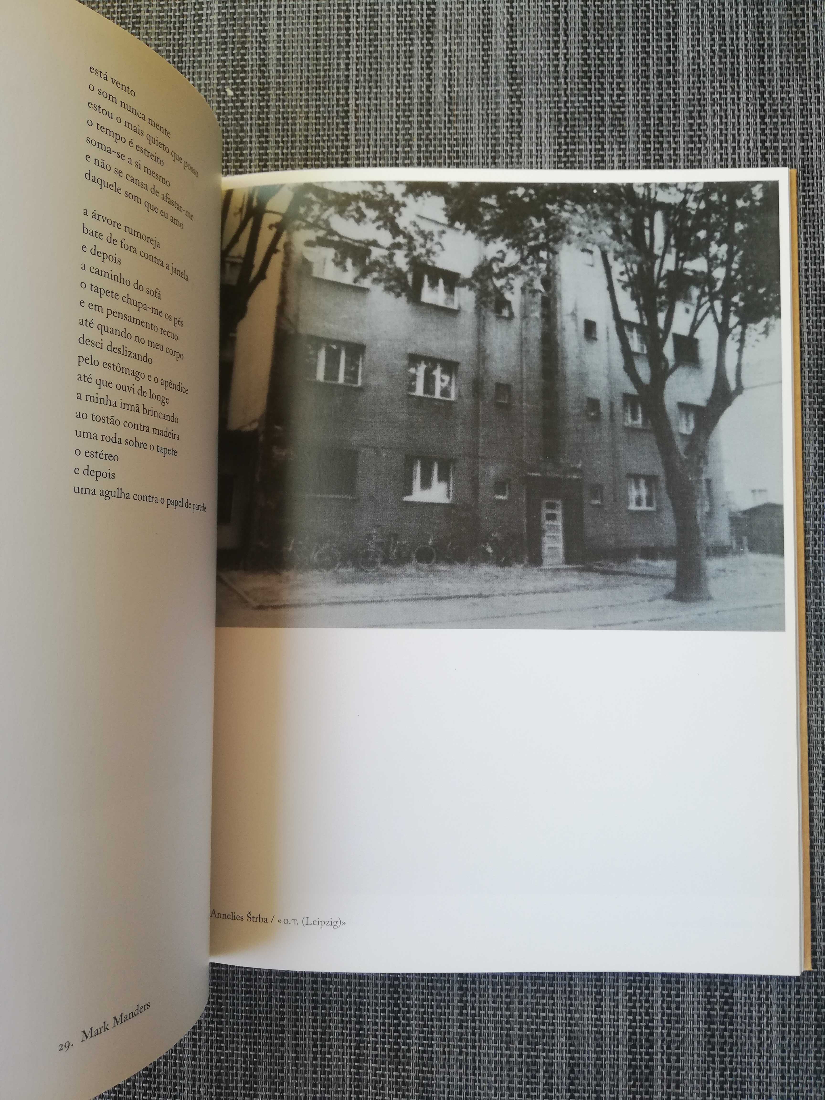 Catálogo de arte e poesia holandesa: Dias Abertos (portes grátis)