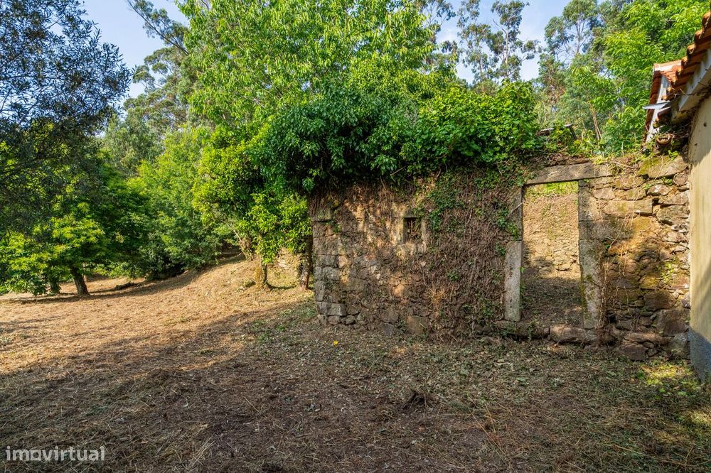 Terreno com Ruína - Fornelos, Ponte de Lima