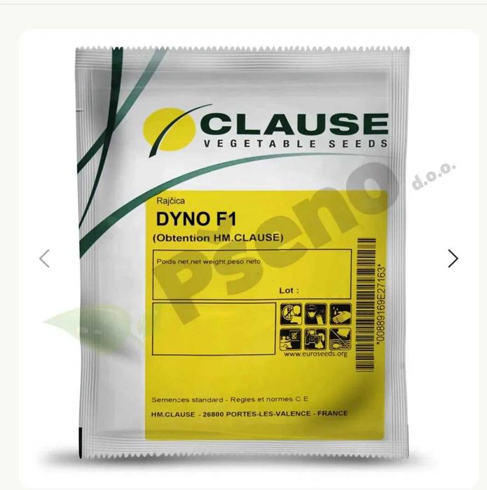 Nasiona pomidora Dyno F1 Clause 1000 szt