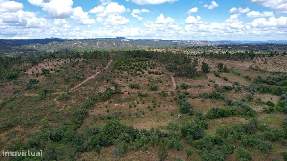 Terreno