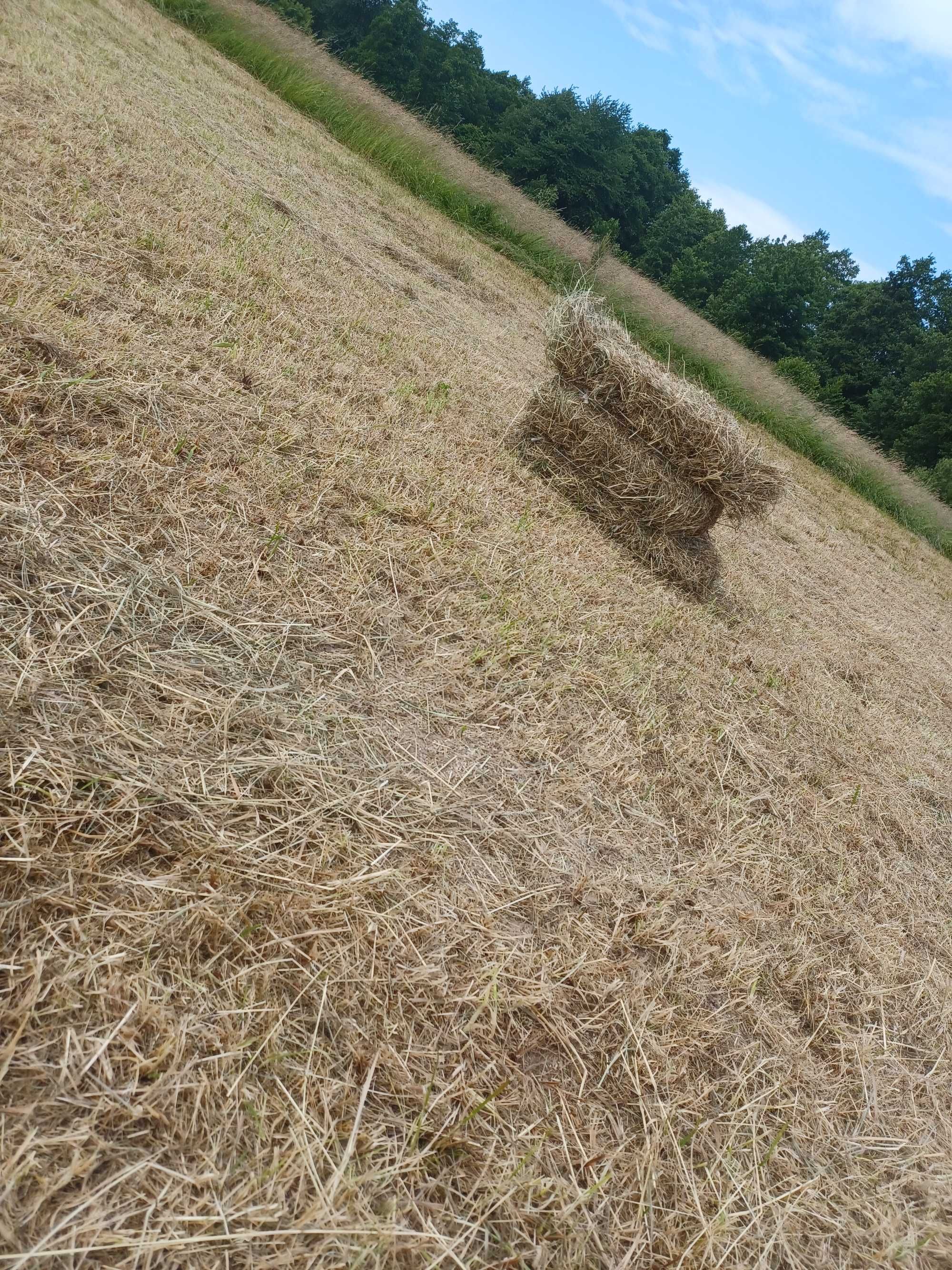Siano w kostkach