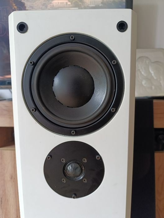 Unikatowe Białe kolumny dynaudio, Xanadu DS17