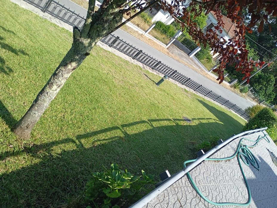 Serviços Jardinagem