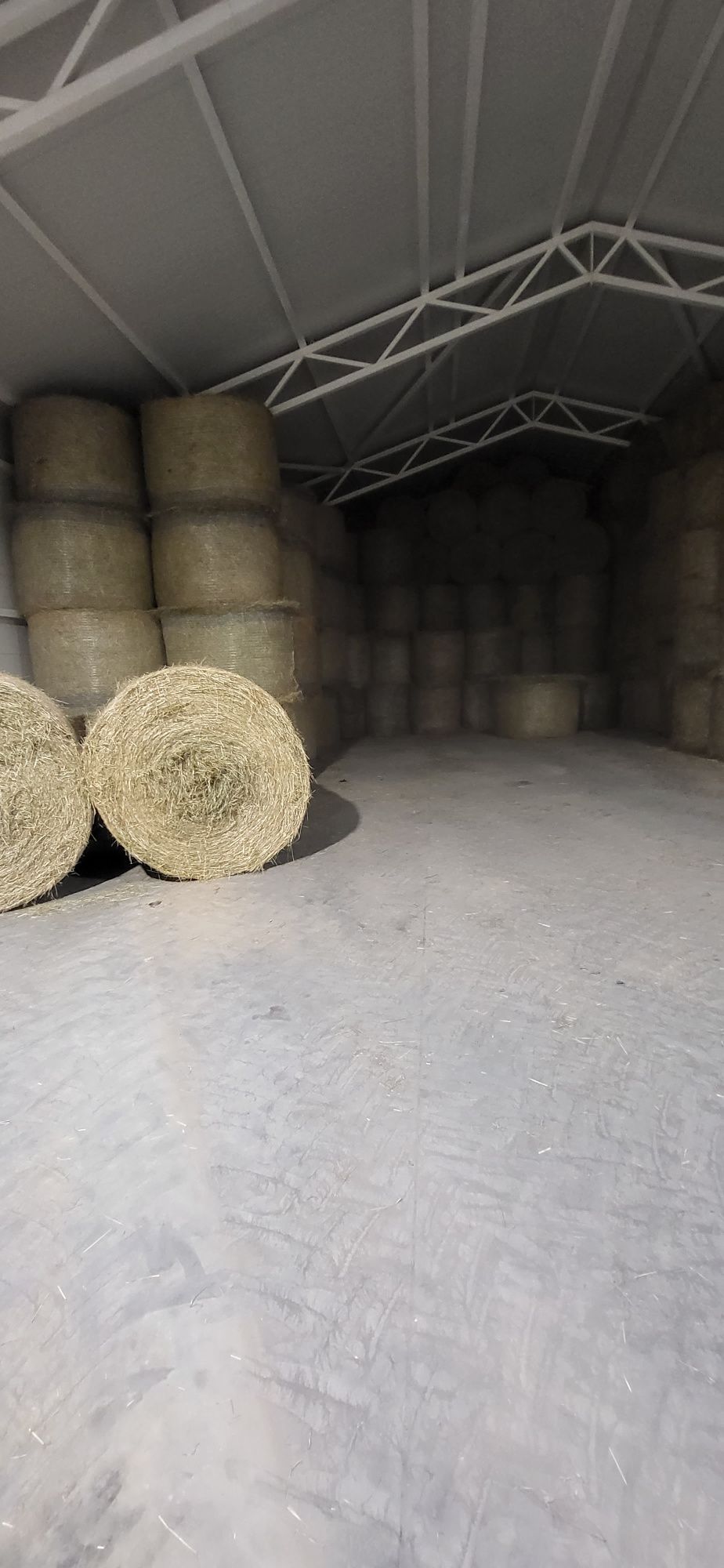 Siano z traw sianych idealne 500kg
