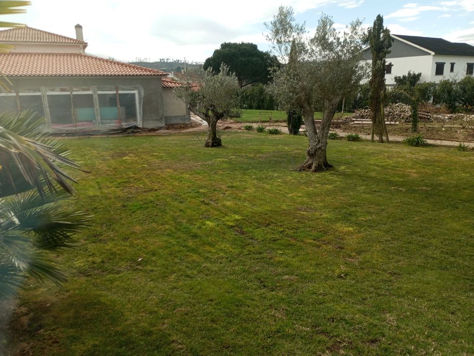 JARDINEIRO Manutenções construção jardins