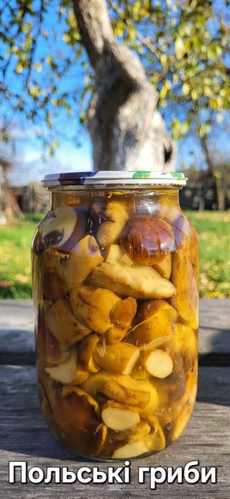 Мариновані гриби