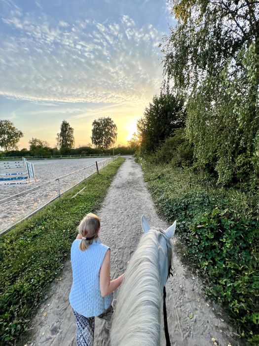 Львів • Реабілітація / Іпотерапія для дітей • вул. Стрийська, 119а