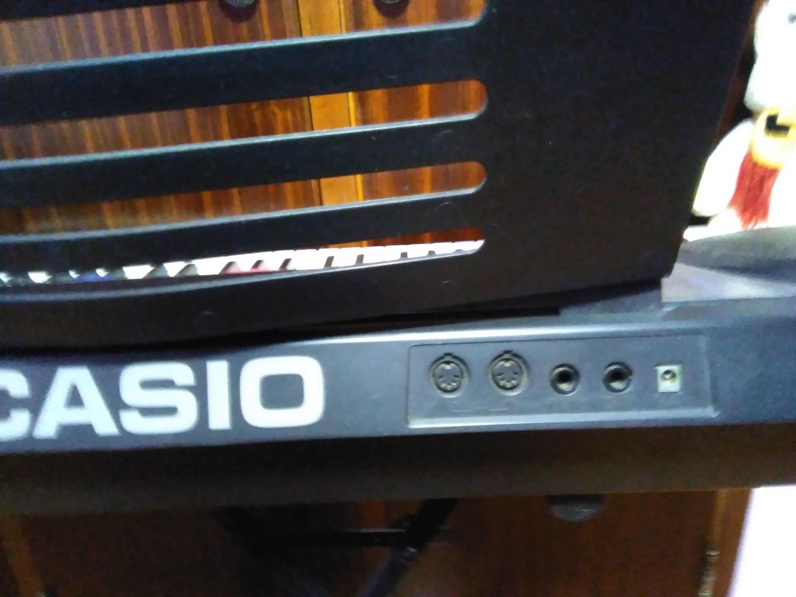 Órgão Casio CTK551