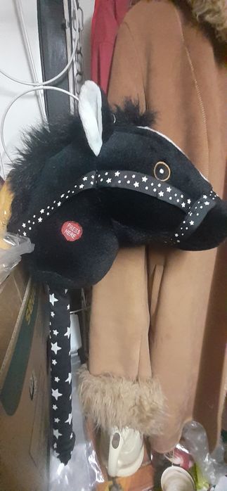 Konik hobby Horse