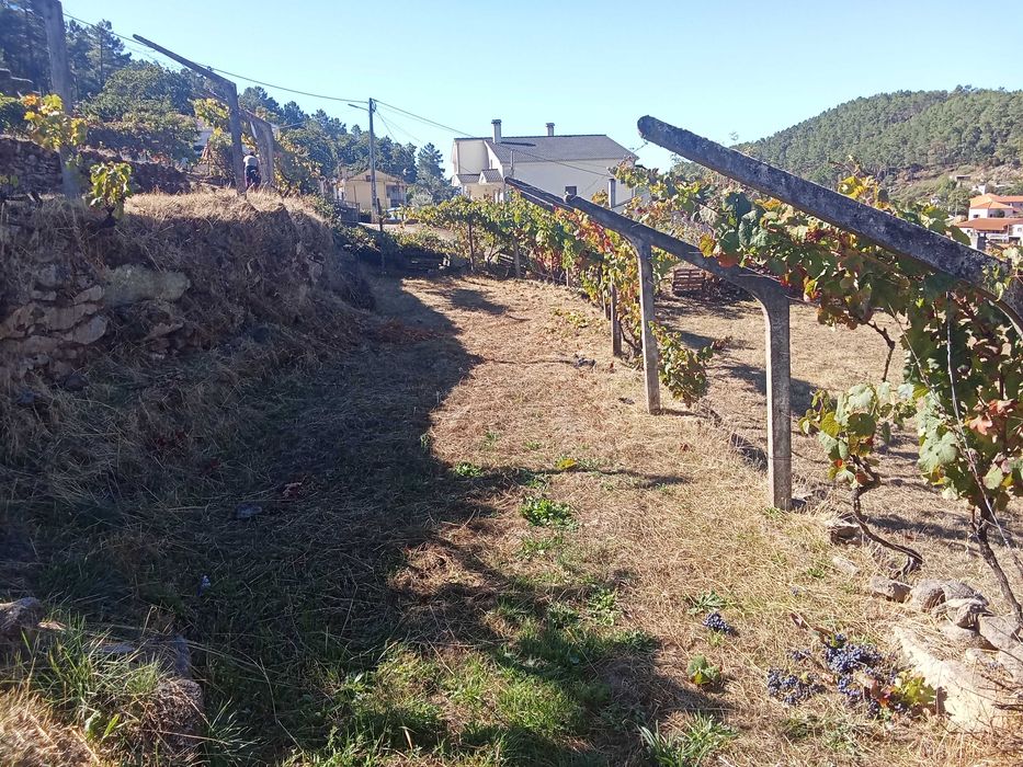 Terreno para cultivo/ outros