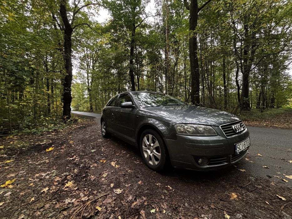 Audi A3 8p 1,6+Lpg