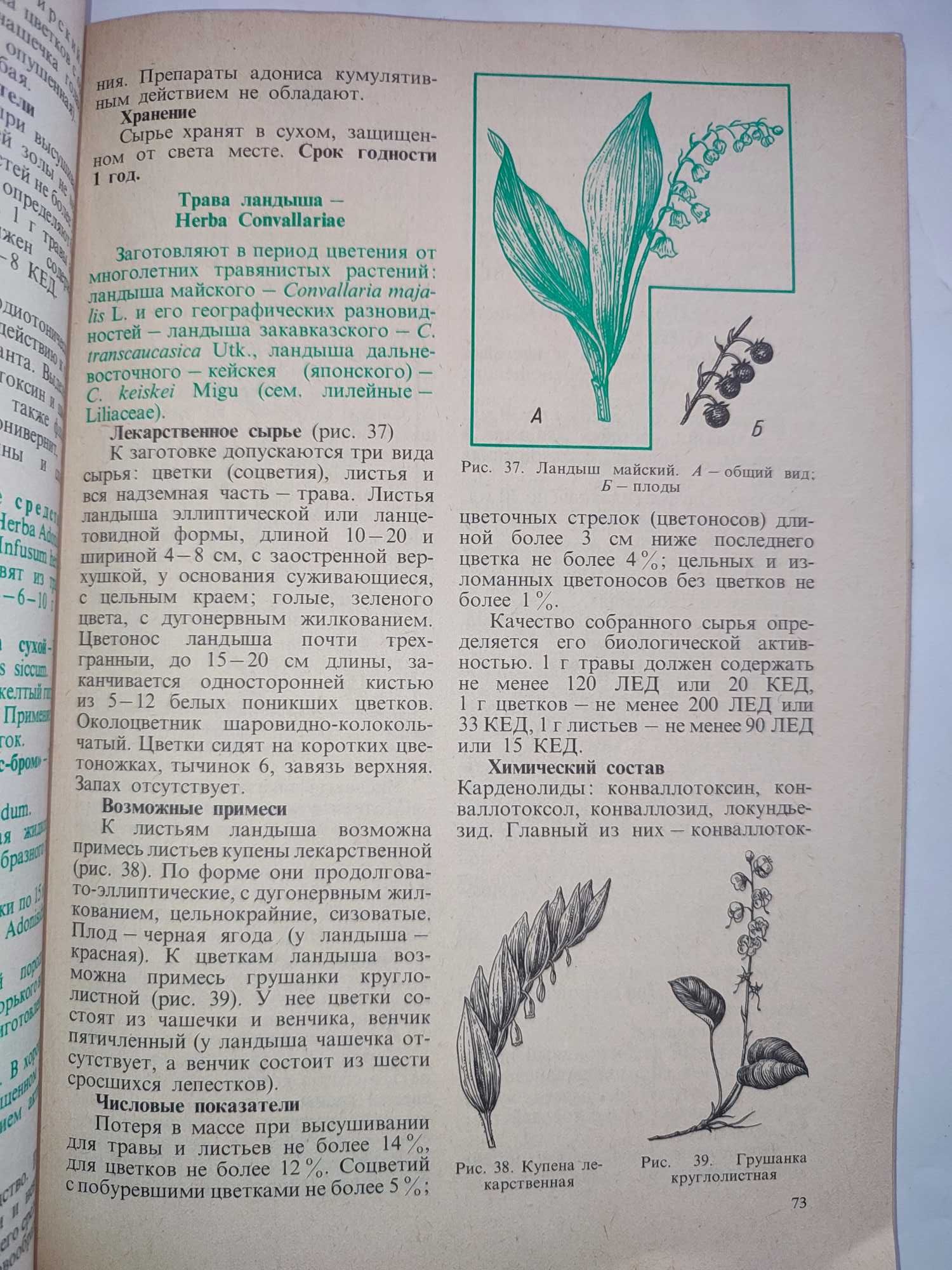 Лекарственное растительное сырье и препараты Кузнецова