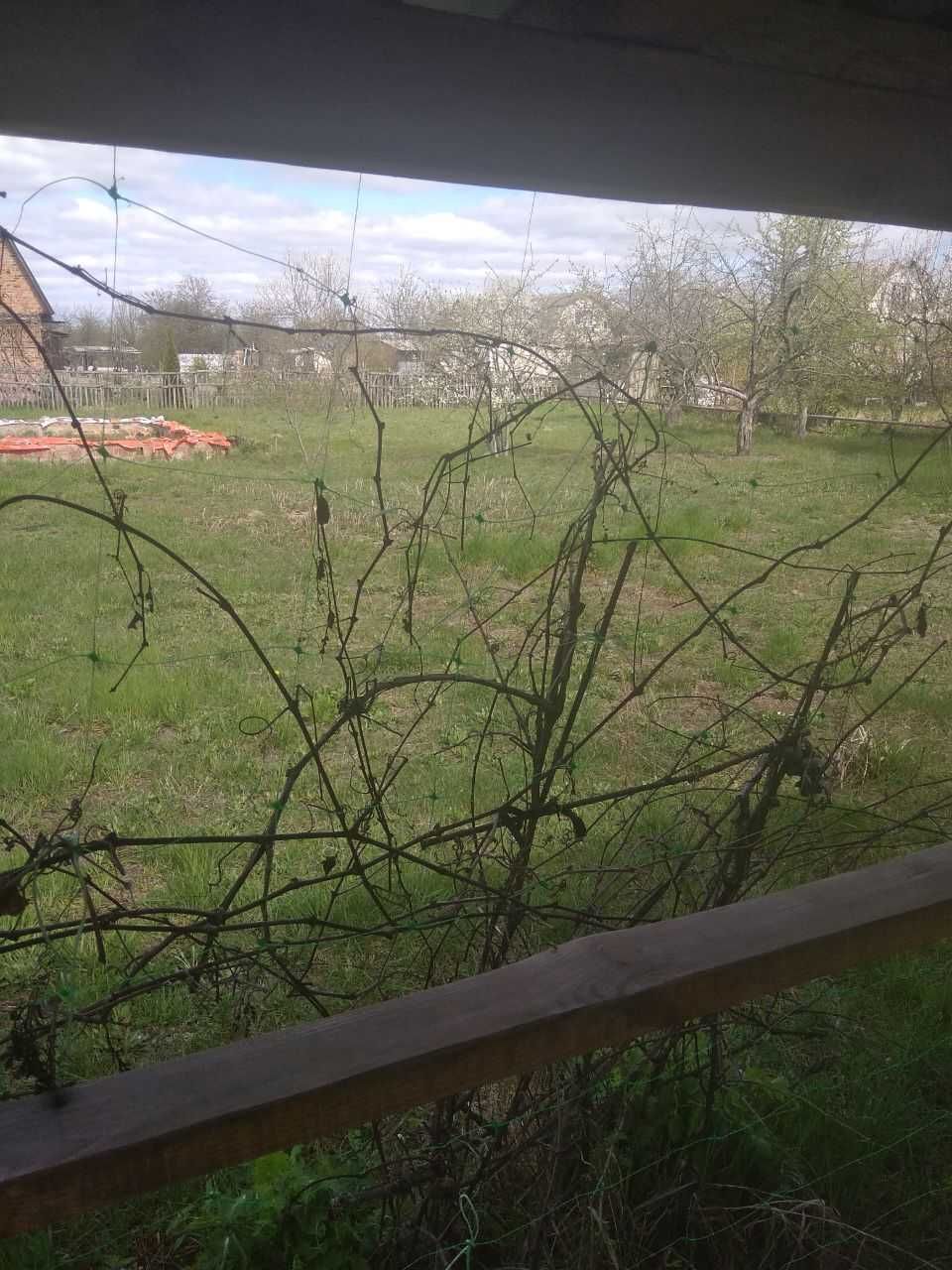Срочно! Дача в Березанке