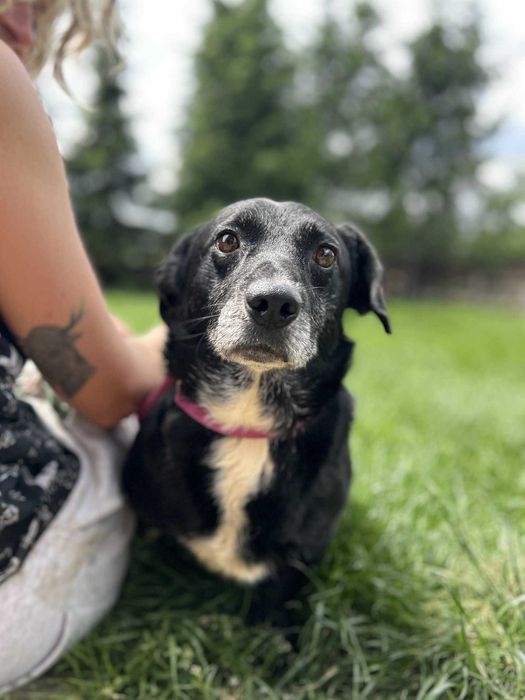 Lesko szuka kąta dla siebie