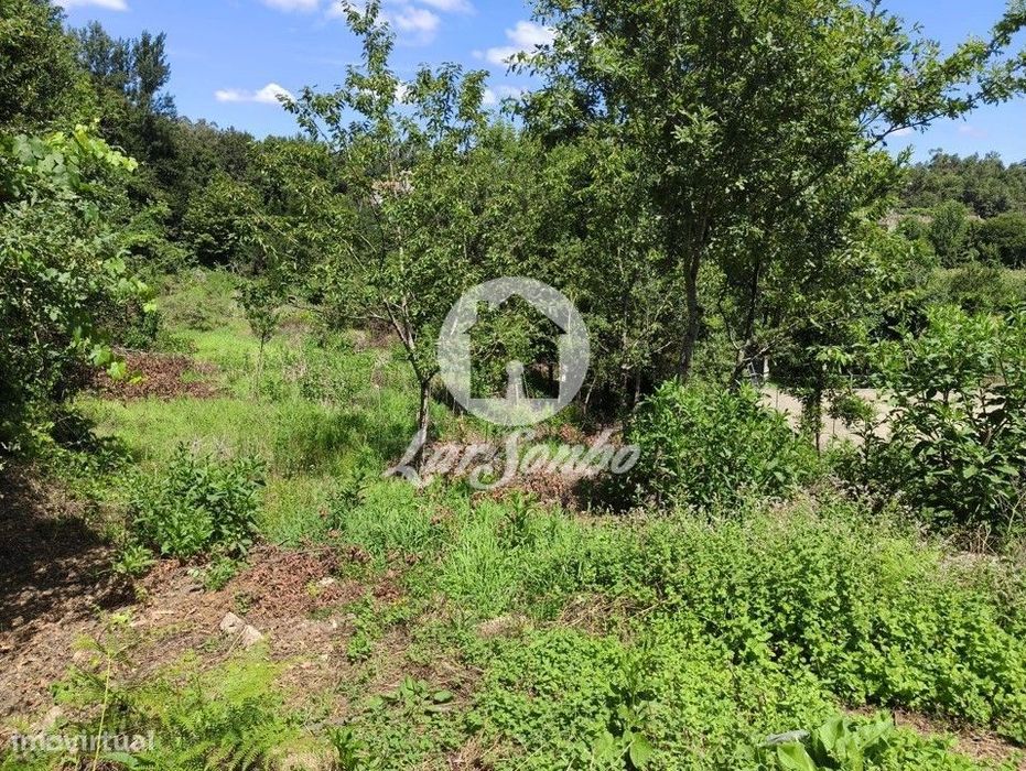 Terreno Rústico para construção Golães-Fafe