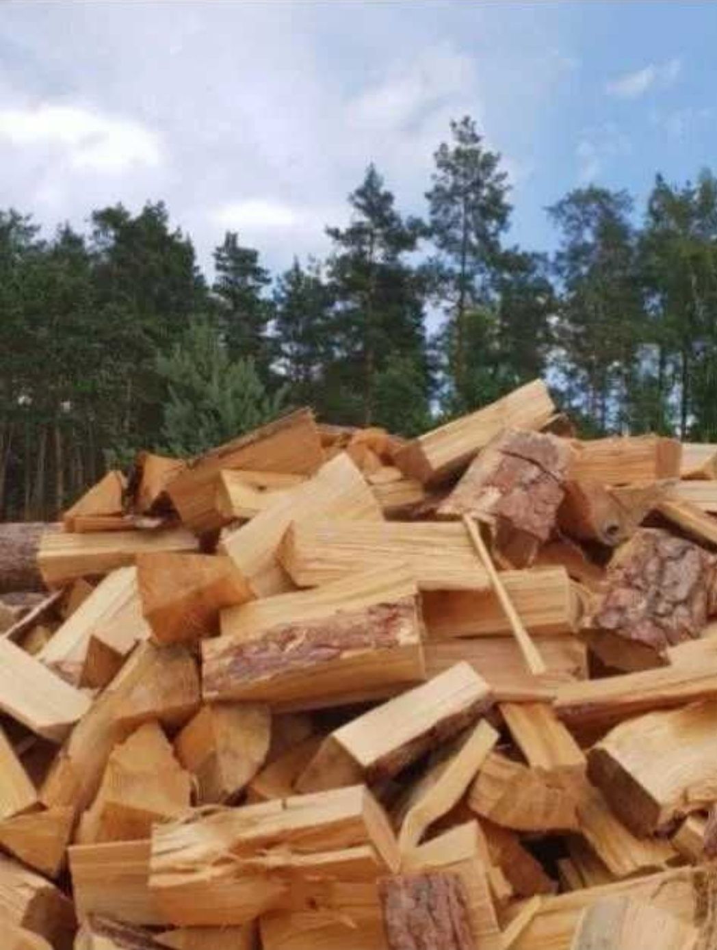 Tanie i dobre kaloryczne drewno opałowe sosna dąb buk grab i inne prom