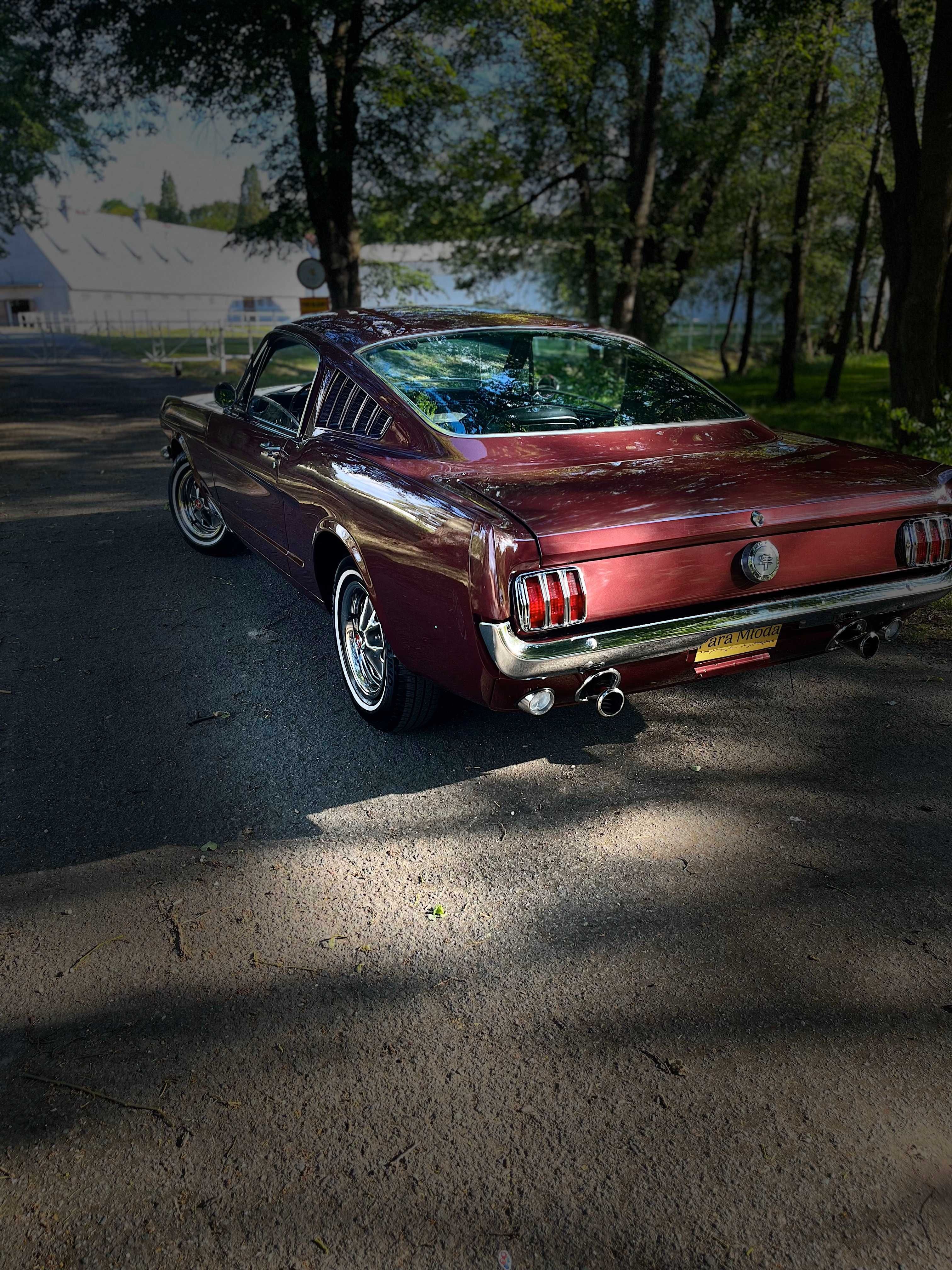 FORD MUSTANG FASTBACK GT 1966 V8 wynajem na ślub, sesję - prezent