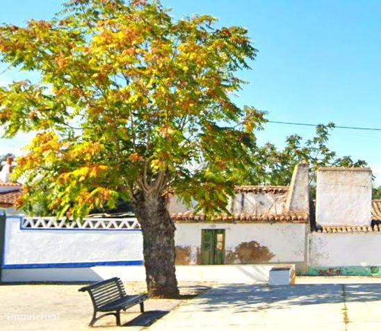 Casa de aldeia em ruina com projeto de arquitetura para reabilitação,