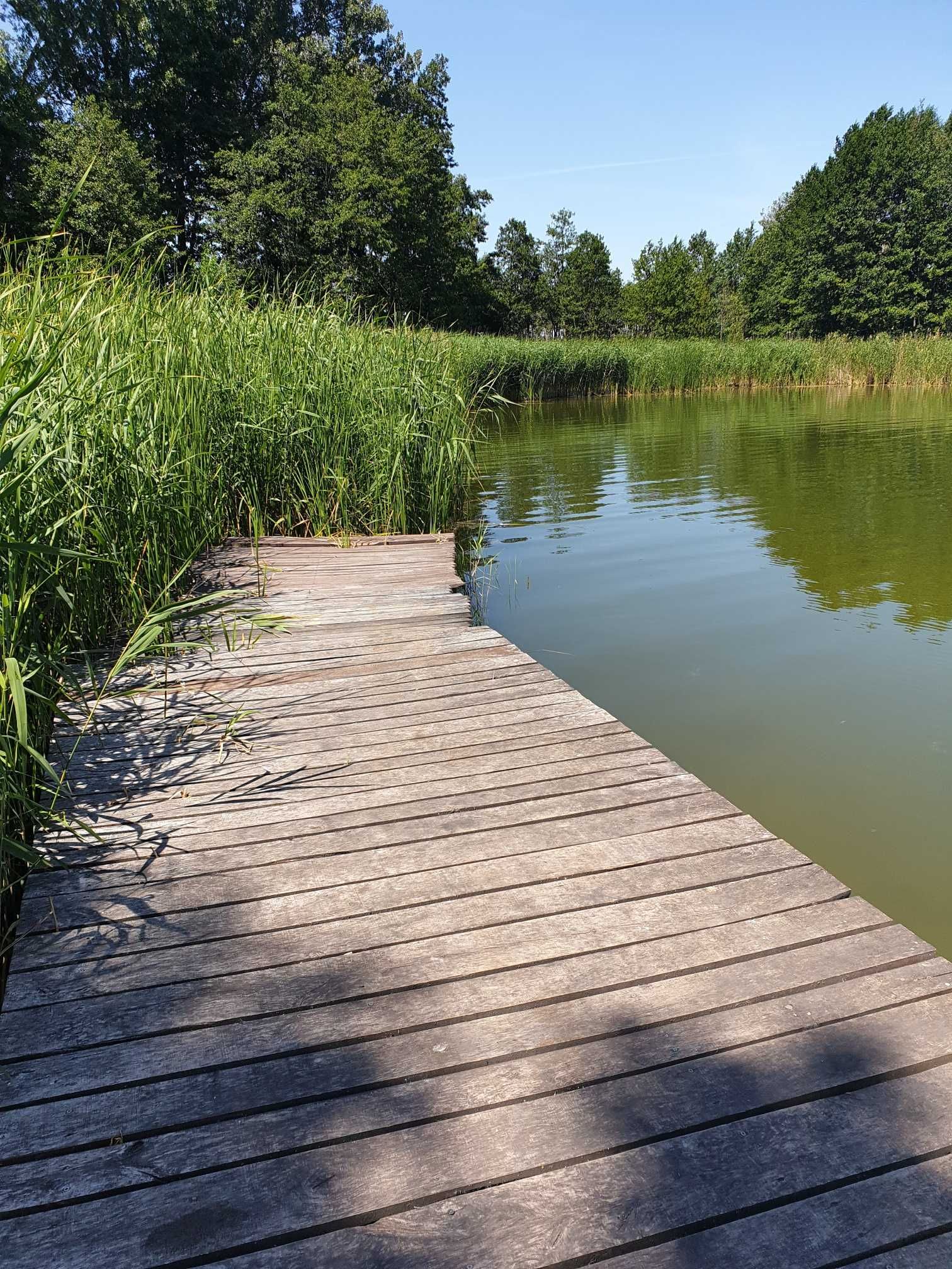 Działka nad jeziorem POZNAŃ WOLSZTYN OBRA