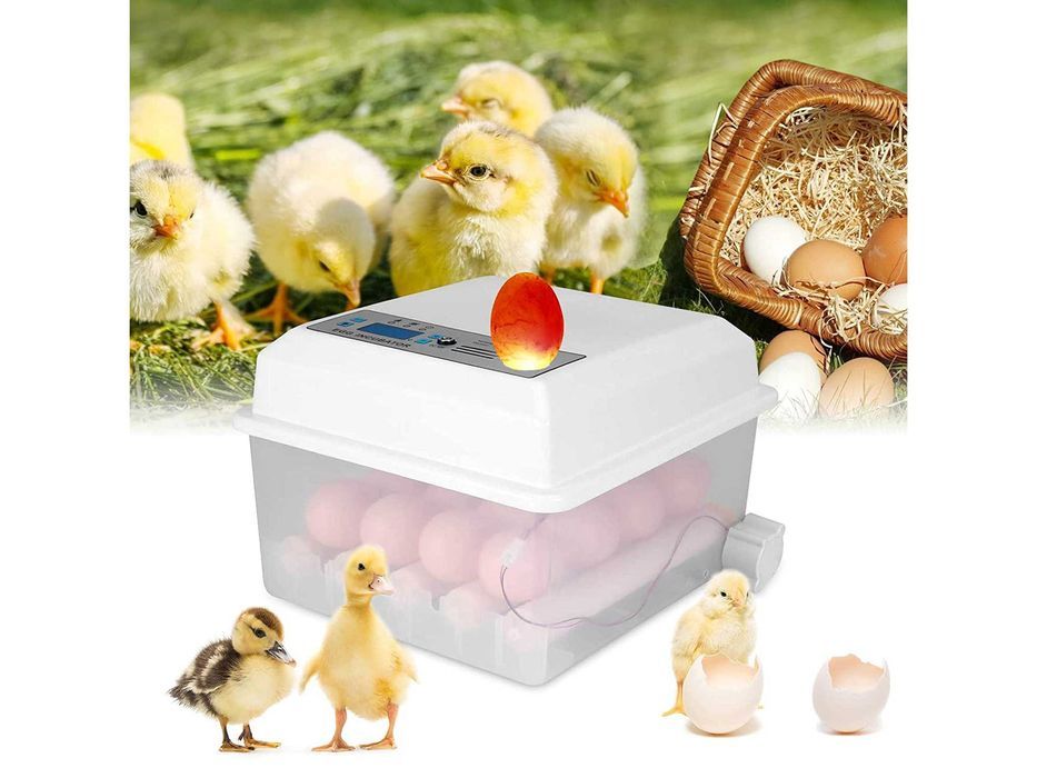 Incubadora de ovos automática 16 ovos