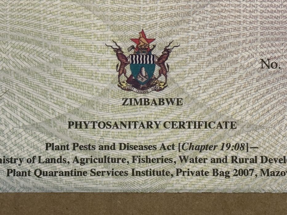 Orzechy makadamia w łupinach Zimbabwe