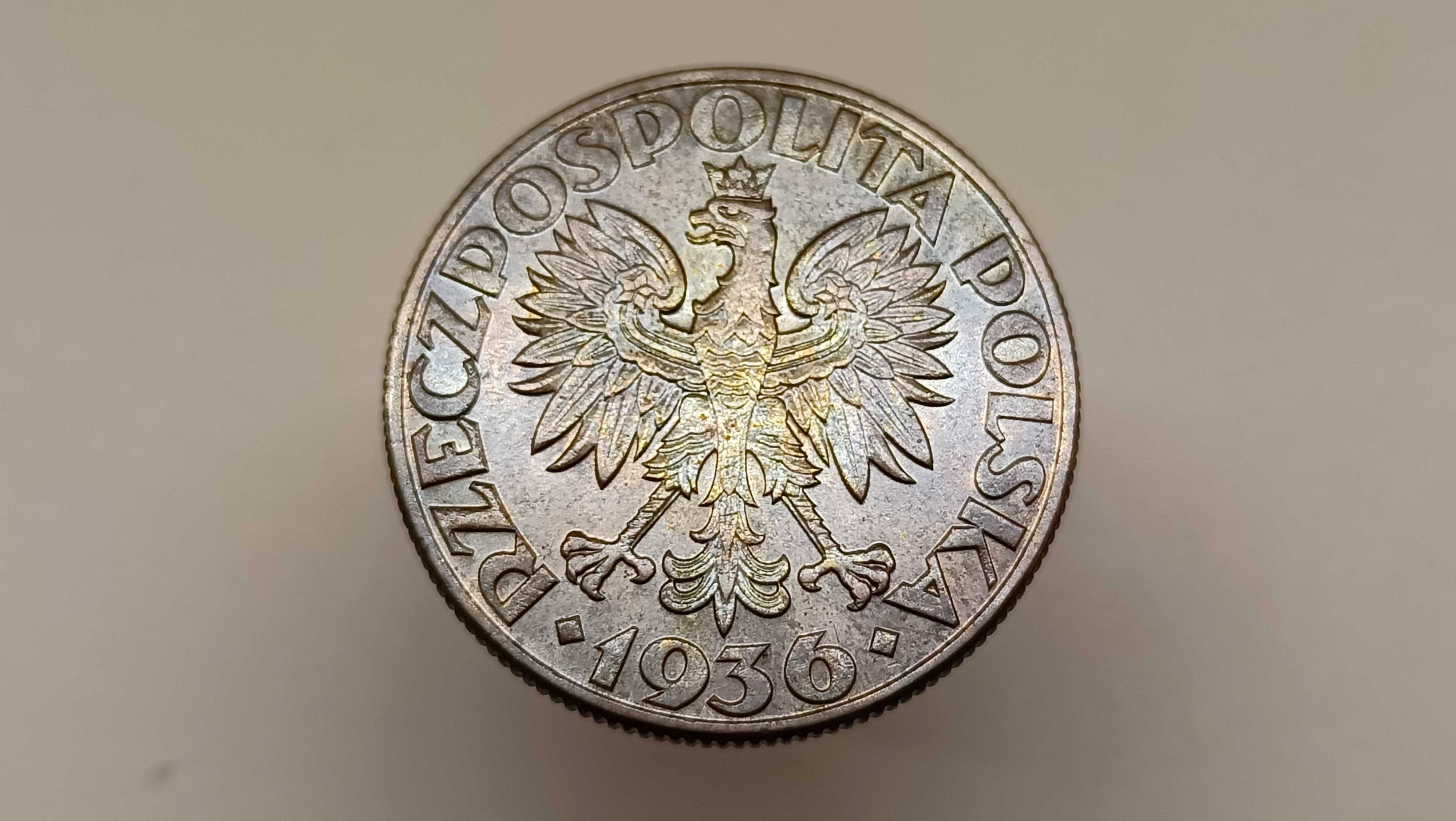 5 złotych Żaglowiec, 1936, MENNICZY, II RP