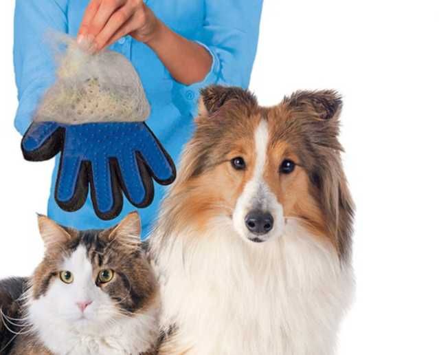 Rękawica rękawiczka do czesania sierści dla zwierząt psa kota