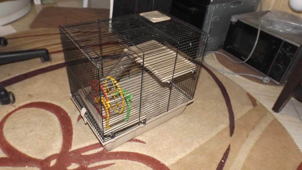 klatka dla ptaków lub inne na zwierzęta, akwarium