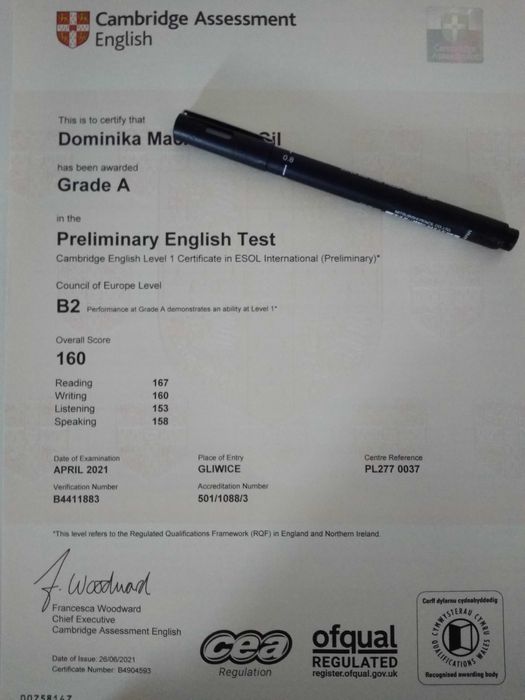 Korepetycje  z języka angielskiego dla dzieci z dojazdem.