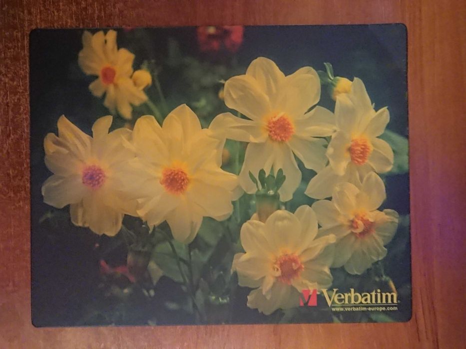 Килимок для комп'ютерної миші 24 х 19 см