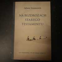 Na bezdrożach Starego Testamentu Szumorek