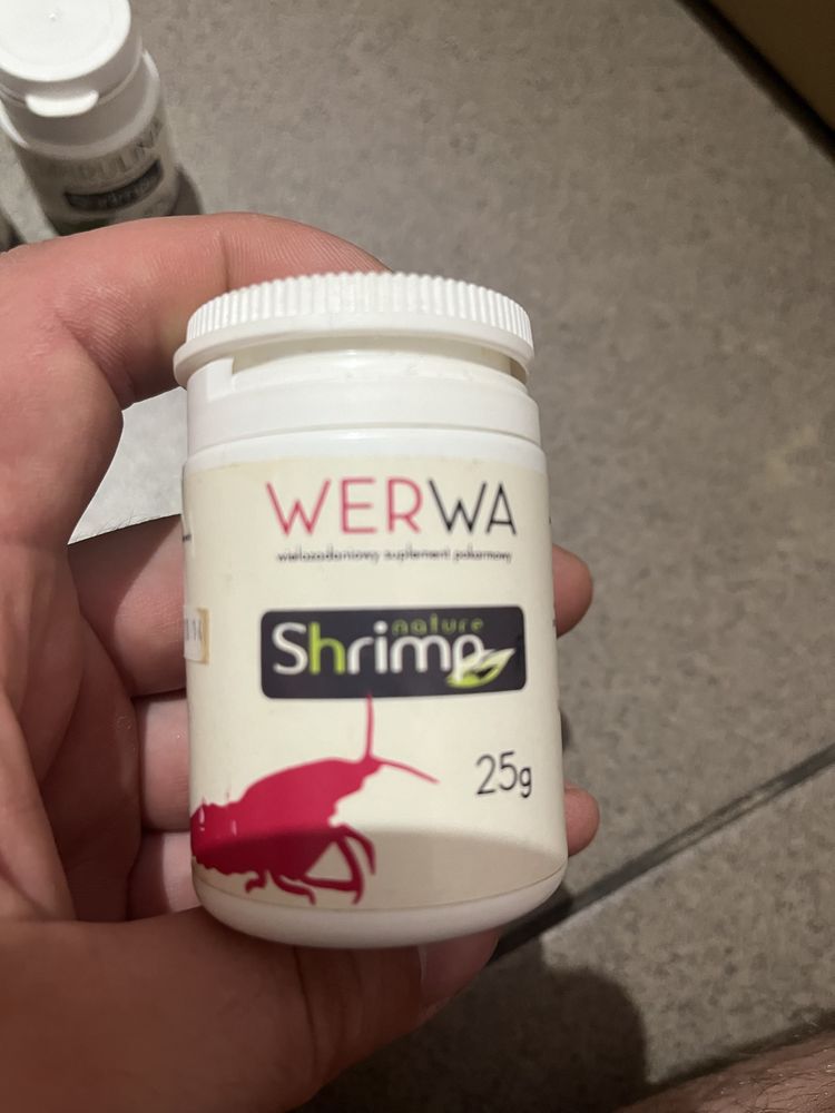 Dla krewetek bakterie i pokarm