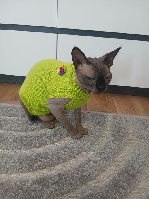 Продам одяг на сфінксів