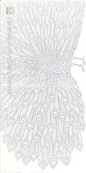 Livro Colorir Paraíso Tropical, estilo mandala
