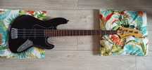 Sandberg Electra Gitara basowa Bas Stan BDB