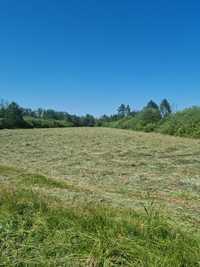Sprzedam łąkę 1,14 ha  oraz  grunt orny 1,73 ha
