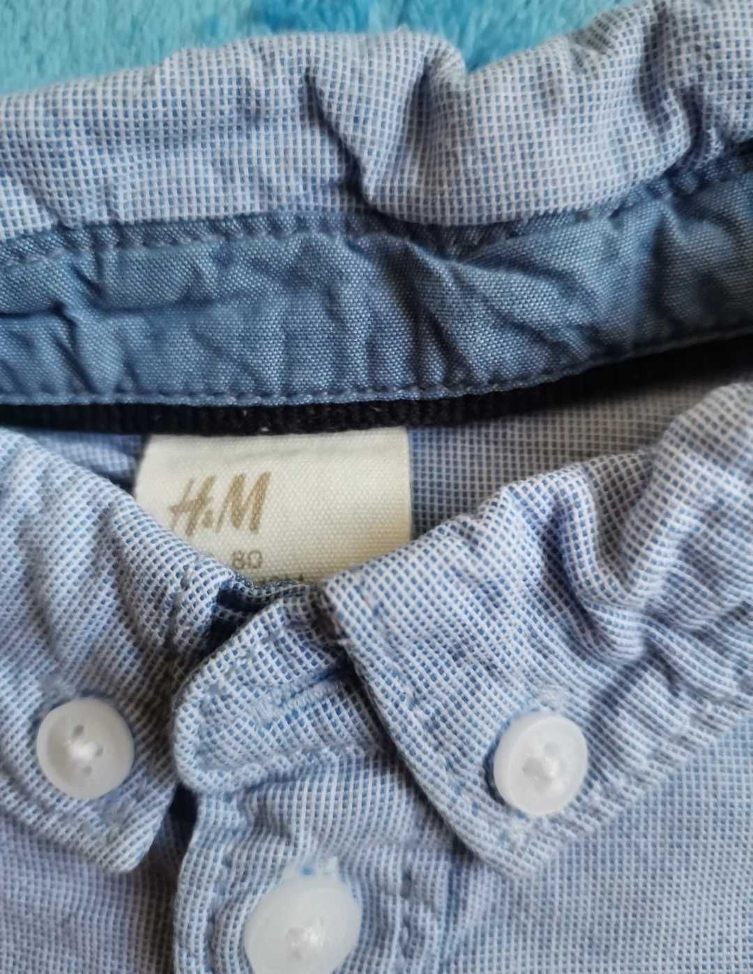 Koszula dla chłopca 80 H&M