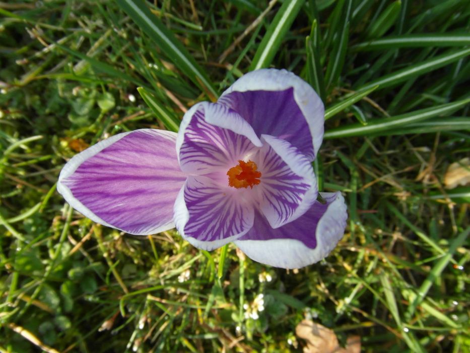 Цифрова камера Samsung WB710