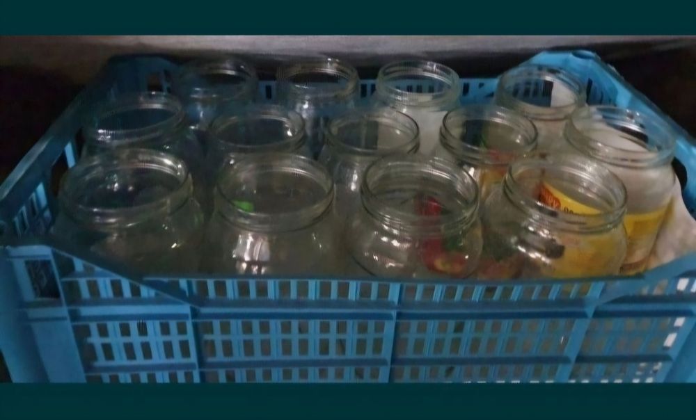 50 szt słoików 0,5 litra bez zakrętek