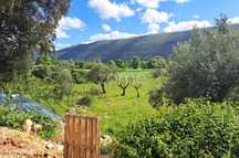 Terreno Urbanizável em Mira de Aire