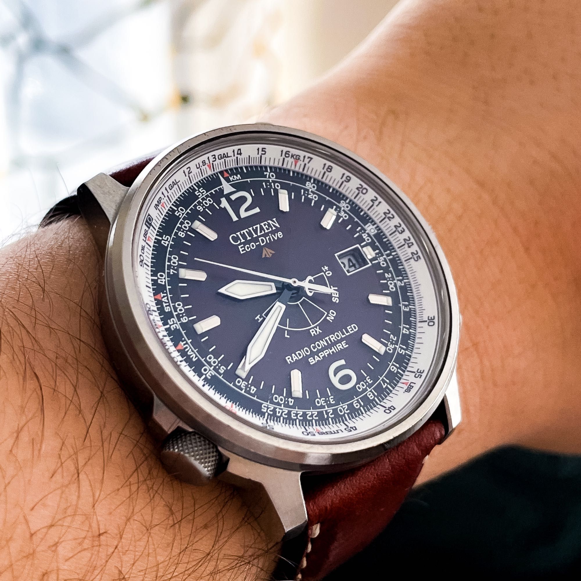 Citizen Promaster Christ GN-4W