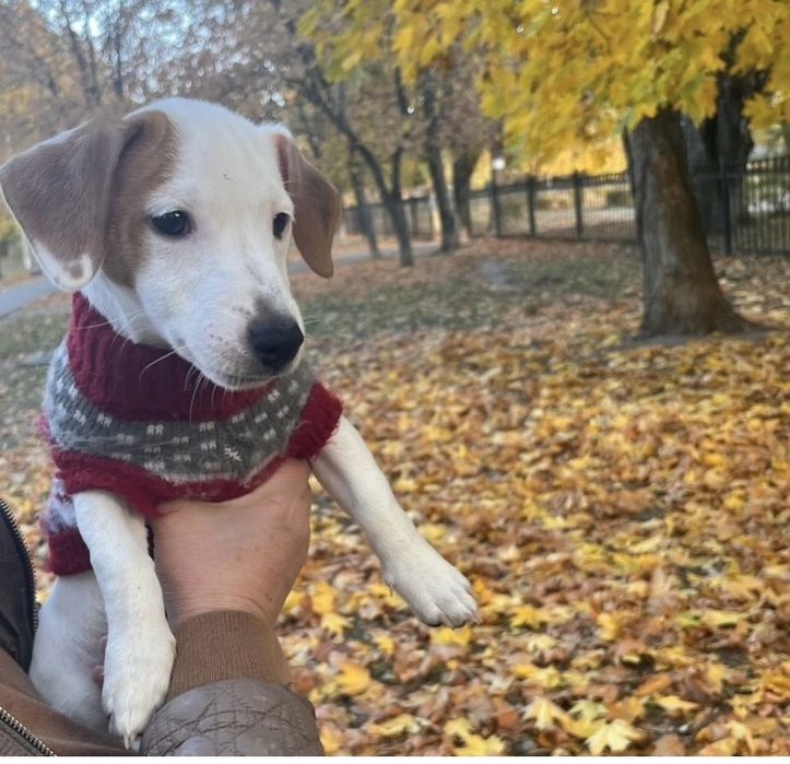 Красивая девочка ищет маму