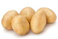 Ziemniaki sadzeniaki kwalifikowane QUEEN ANNE kl.A big 1200 kg